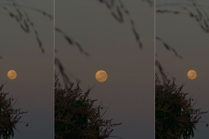 A lua do caçador está sobre nós – você está pronto para abandonar algumas coisas?